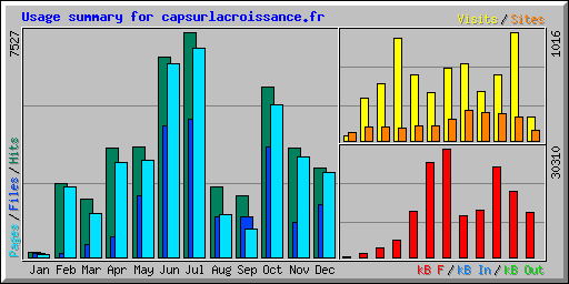 Usage summary for capsurlacroissance.fr