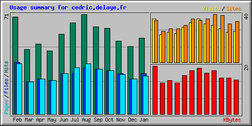 Usage summary for cedric.delaye.fr