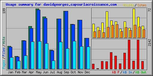 Usage summary for davidgeorges.capsurlacroissance.com