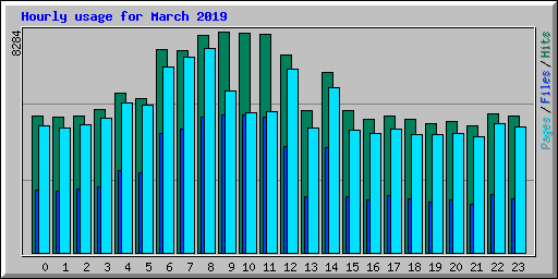 Hourly usage for March 2019