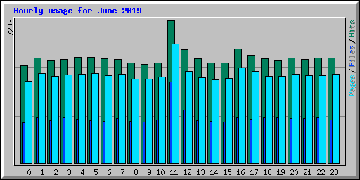 Hourly usage for June 2019