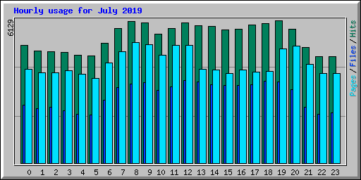 Hourly usage for July 2019