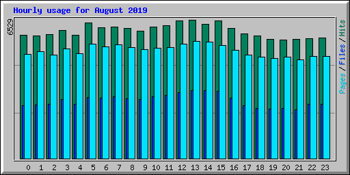 Hourly usage for August 2019
