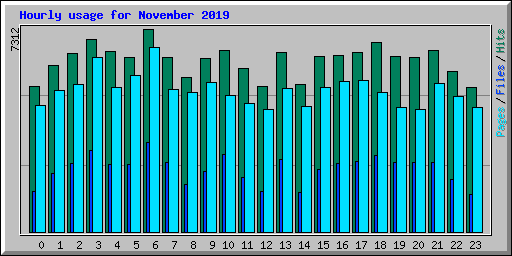 Hourly usage for November 2019