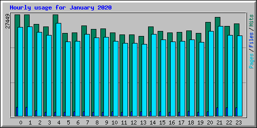 Hourly usage for January 2020