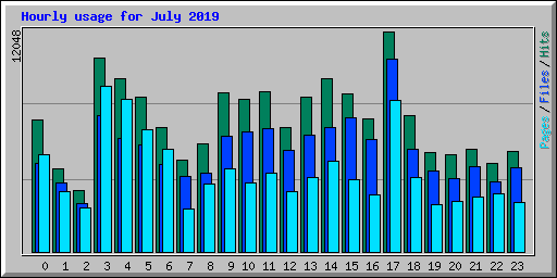 Hourly usage for July 2019