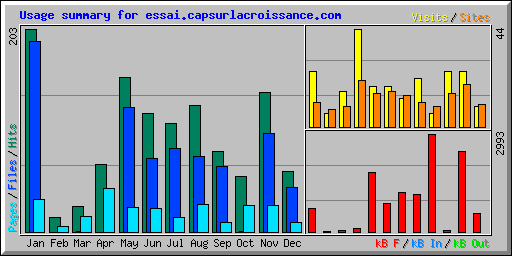 Usage summary for essai.capsurlacroissance.com