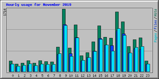Hourly usage for November 2019