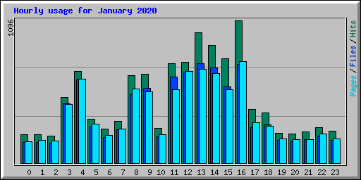 Hourly usage for January 2020