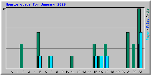Hourly usage for January 2020