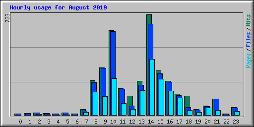 Hourly usage for August 2019