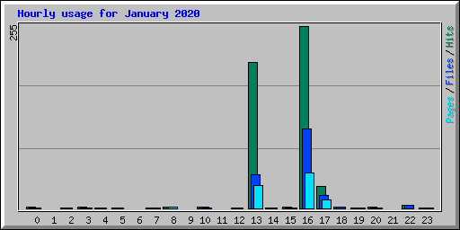 Hourly usage for January 2020