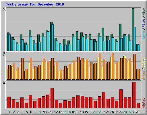 Daily usage for December 2019