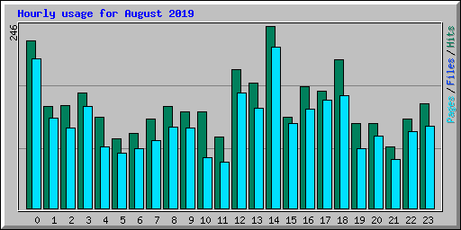 Hourly usage for August 2019