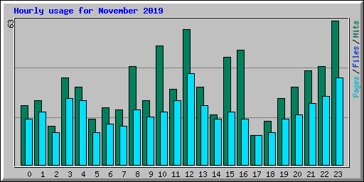 Hourly usage for November 2019