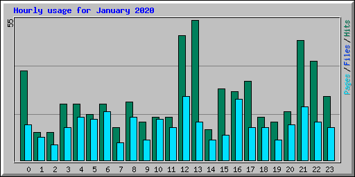 Hourly usage for January 2020