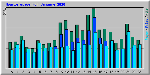 Hourly usage for January 2020
