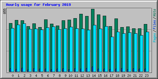 Hourly usage for February 2019