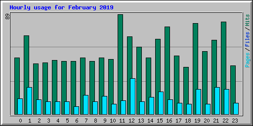 Hourly usage for February 2019