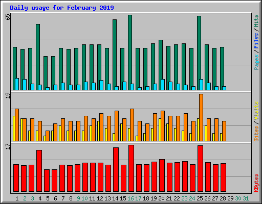 Daily usage for February 2019