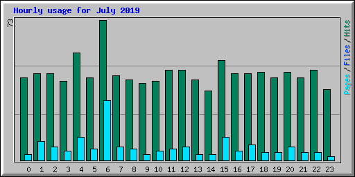 Hourly usage for July 2019