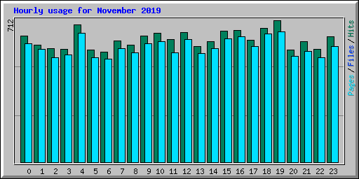 Hourly usage for November 2019