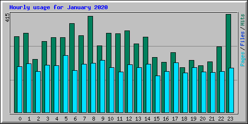 Hourly usage for January 2020