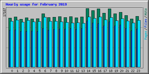 Hourly usage for February 2019