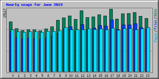 Hourly usage for June 2019