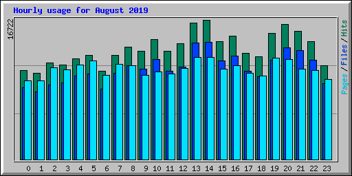 Hourly usage for August 2019