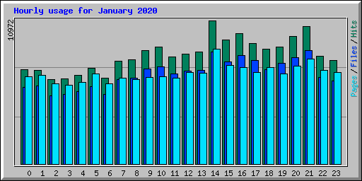 Hourly usage for January 2020
