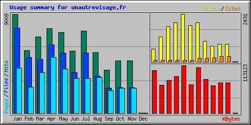 Usage summary for unautrevisage.fr